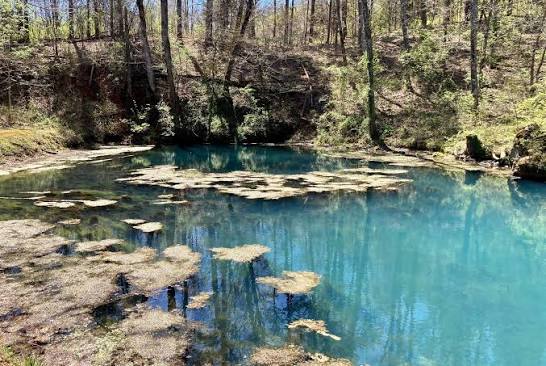 Reeds Spring, MO