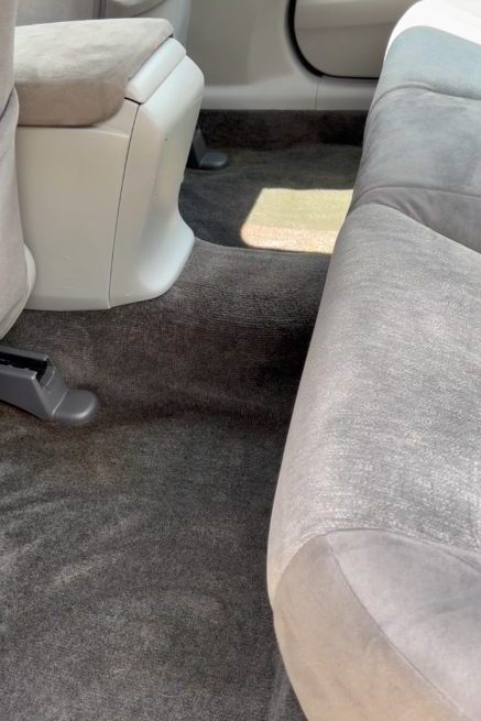 Carpet with embedded pet hair after
